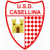 logo CASELLINA b