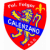 logo FOLGOR CALENZANO